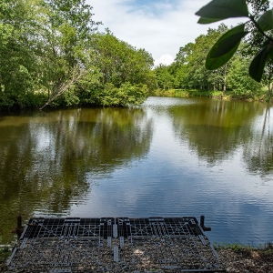 Redwell   17 06 2020   D500   Les 408.jpg